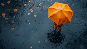 Devoir du 1er trimestre 3AM