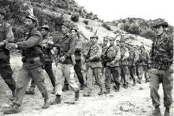 Offensive du 20 août 1955 : la réponse aux cris des Aurès.