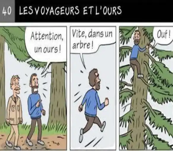 Examen du 2eme trimestre 2AM