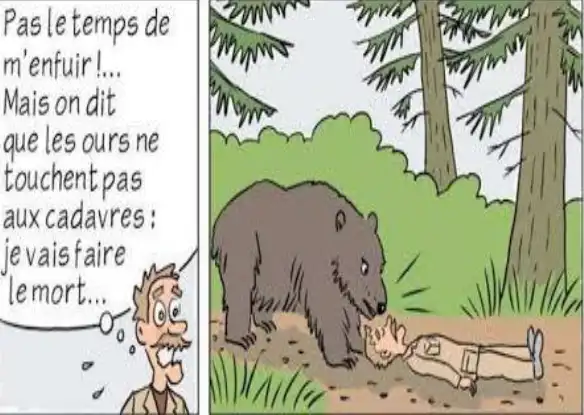 Examen du 2eme trimestre 2AM