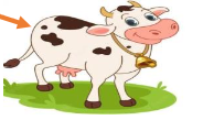 Examen du 3eme trimestre 3AP